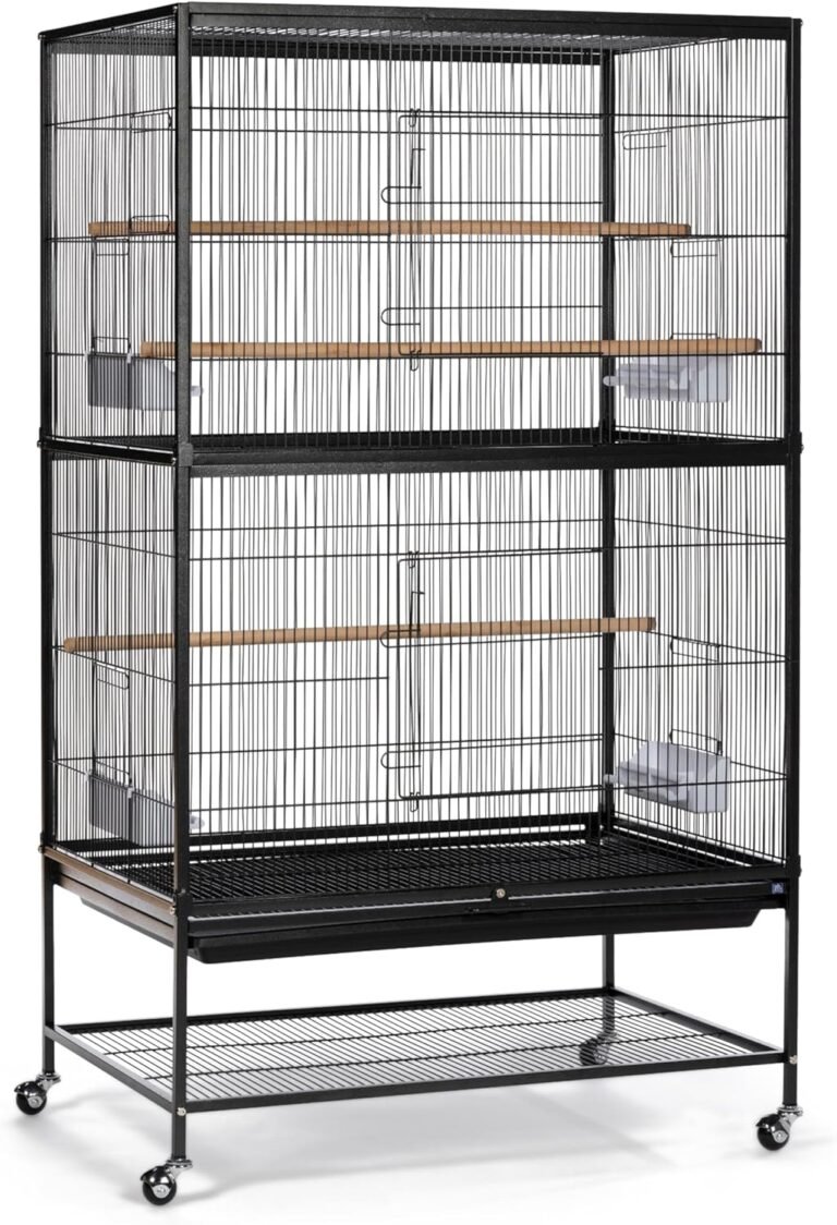 Product Reviews 7 Prevue Pet Products Wrought Iron Flight Cage 2 Simply Make Home